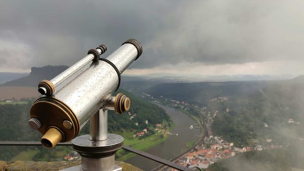 Comment organiser un camping pour observer les animaux nocturnes en forêt?
